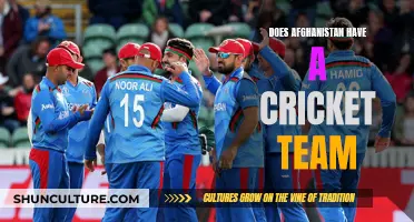 The Unlikely Rise of Afghanistan's National Cricket Team