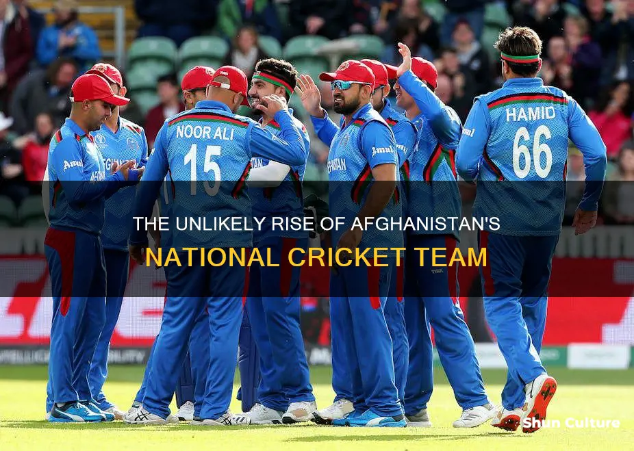 does afghanistan have a cricket team