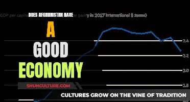 The Fragile Economy of Afghanistan: A Nation in Transition