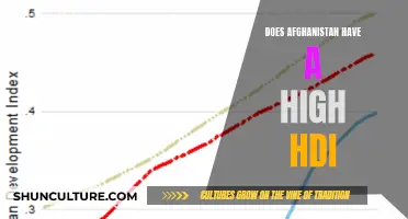 The Complex Reality of Afghanistan's Human Development Index