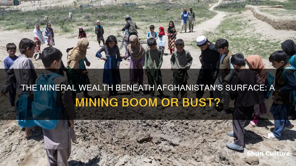 does afghanistan have a lot of mining for mineral wealth