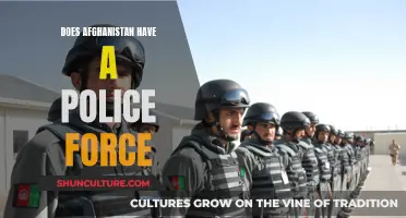 The Evolution of Afghanistan's Police Force: A Complex Security Landscape