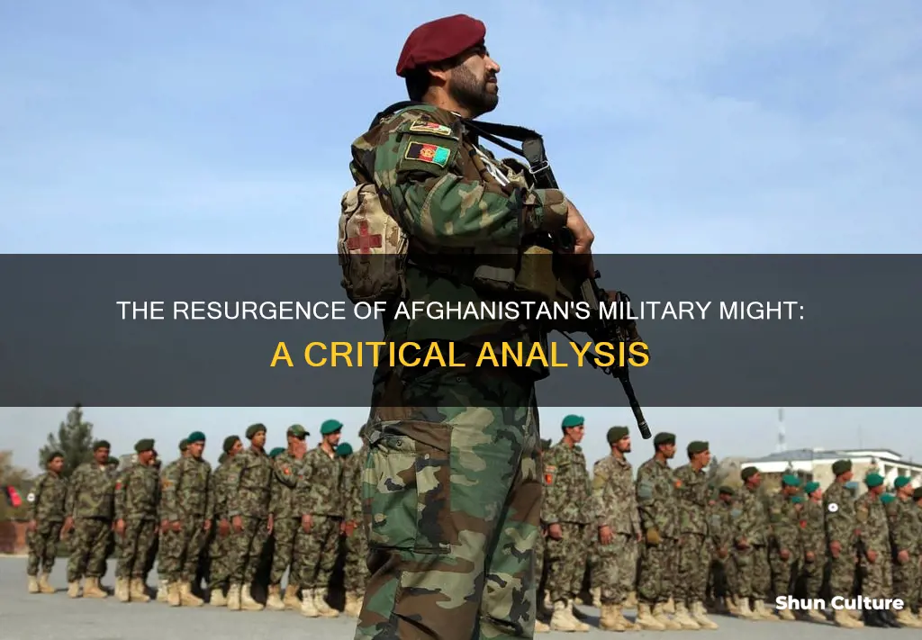 does afghanistan have a strong military