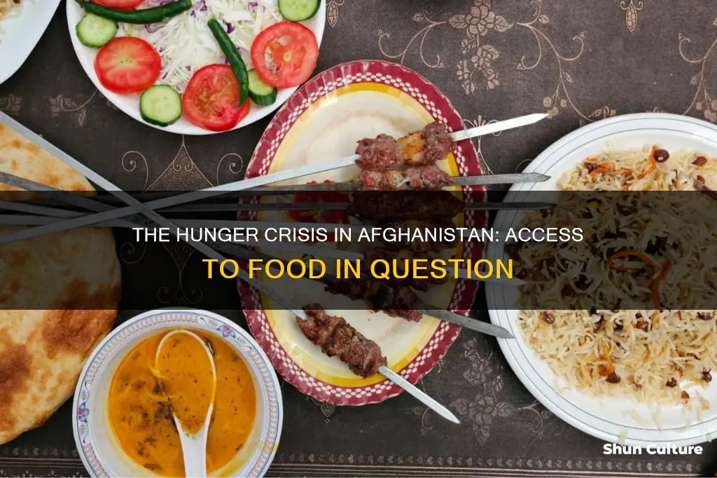 does afghanistan have access to food