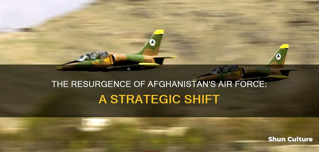 does afghanistan have air force