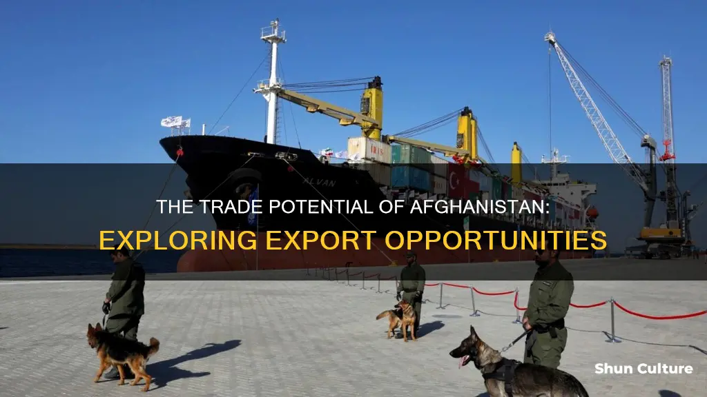 does afghanistan have any exports