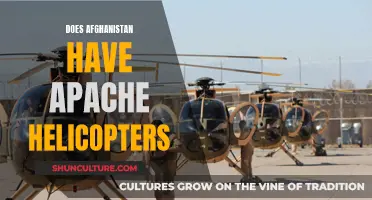 The Elusive Apache Helicopters: Afghanistan's Air Power Mystery