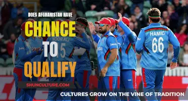 The Resilient Quest: Afghanistan's World Cup Qualification Journey