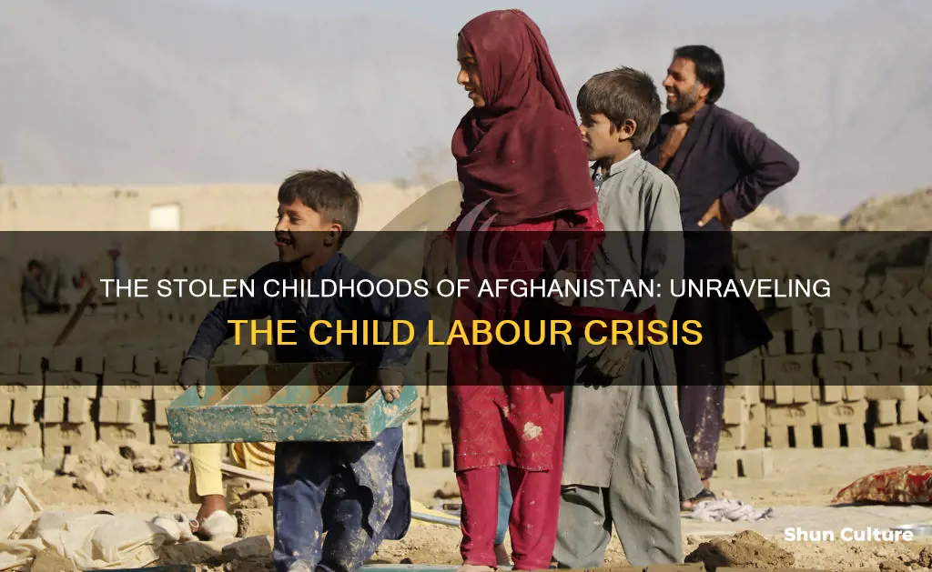 does afghanistan have child labour