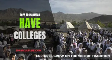 The Quest for Higher Education in Afghanistan: Exploring Academic Opportunities