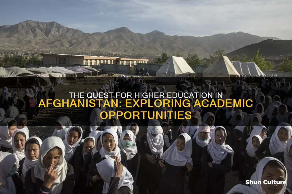 does afghanistan have colleges