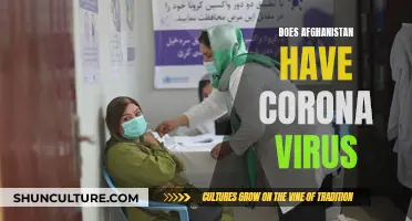 The Silent Spread: Afghanistan's Hidden Coronavirus Crisis