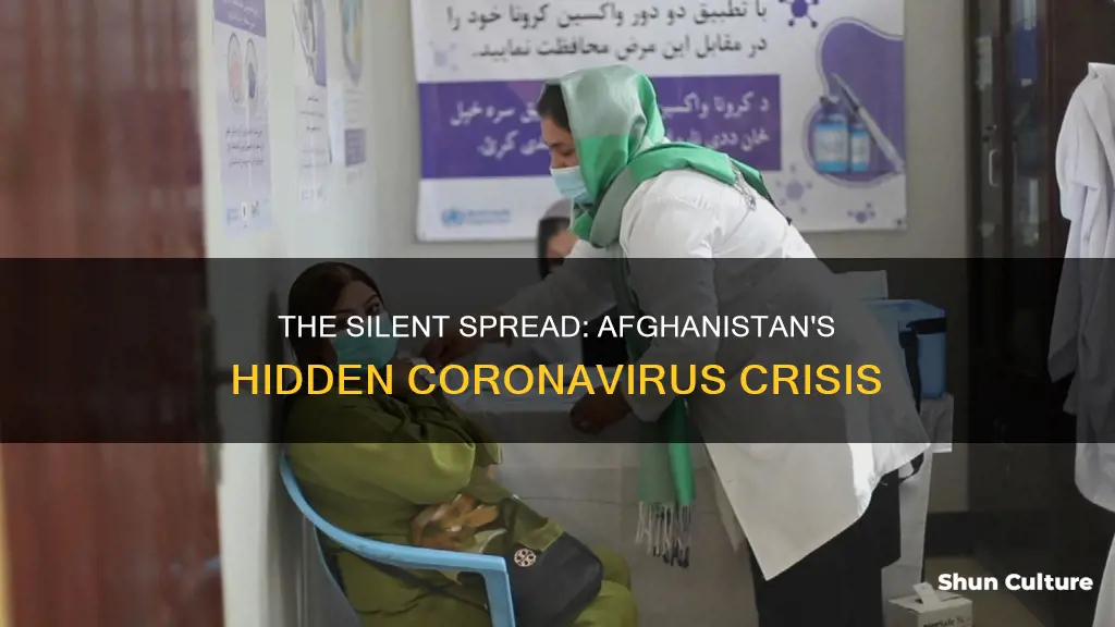 does afghanistan have corona virus