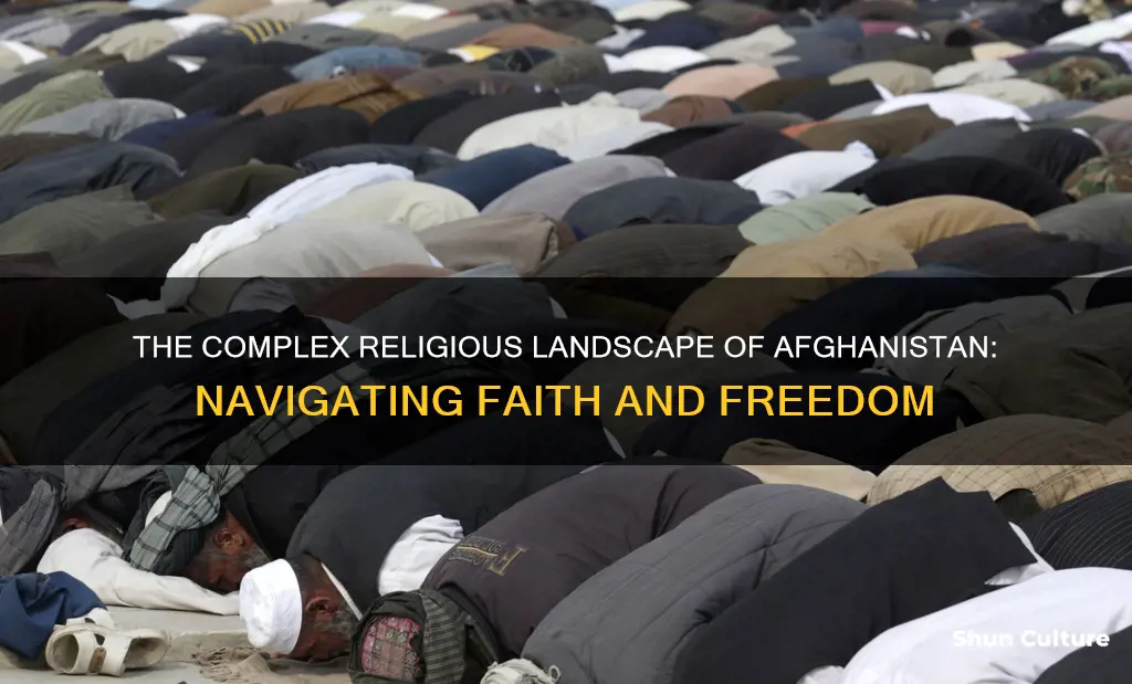 does afghanistan have freedom of religion