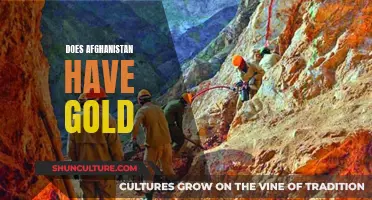 The Golden Secrets of Afghanistan: A Land of Untold Treasures