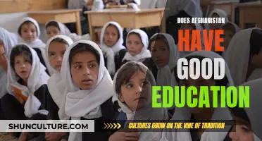 The Education Conundrum in Afghanistan: A Complex Equation