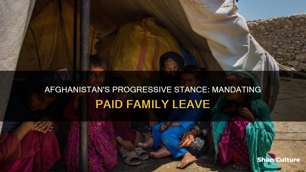 does afghanistan have government mandated paid family leave