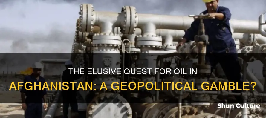 does afghanistan have oil fields