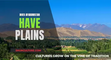 The Diverse Terrain of Afghanistan: Exploring the Existence of Plains