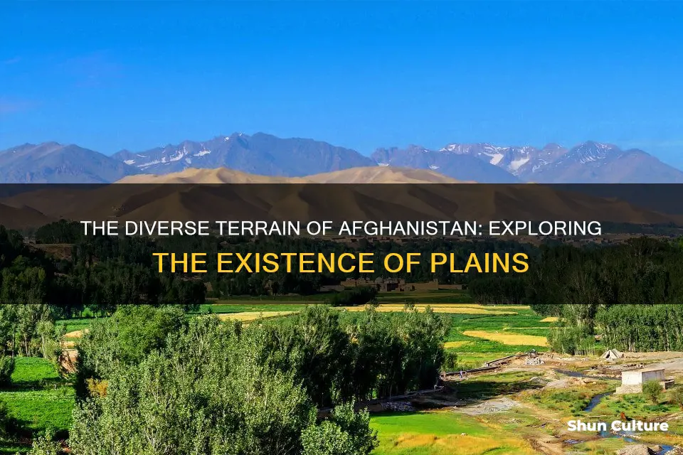 does afghanistan have plains