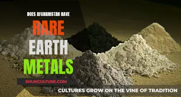 The Untapped Wealth of Afghanistan: Rare Earth Metals and Geopolitical Interests