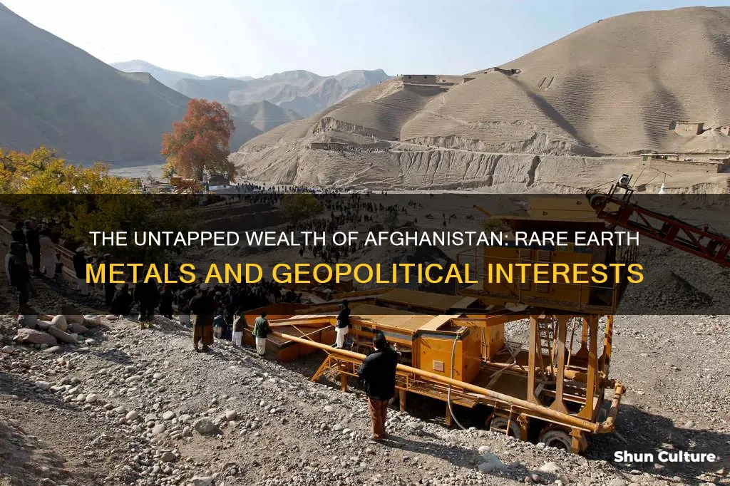 does afghanistan have rare earth metals