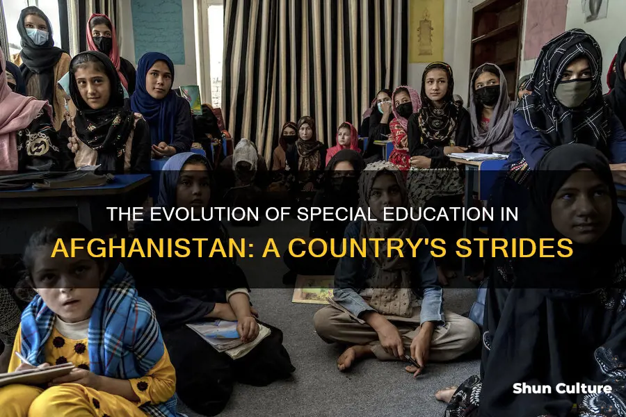 does afghanistan have speacil education programs