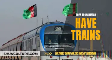 The Rail Conundrum: Afghanistan's Transport Trajectory