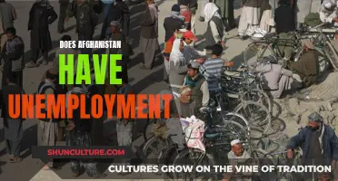 The Plight of Unemployment in Afghanistan: A Complex Economic Challenge