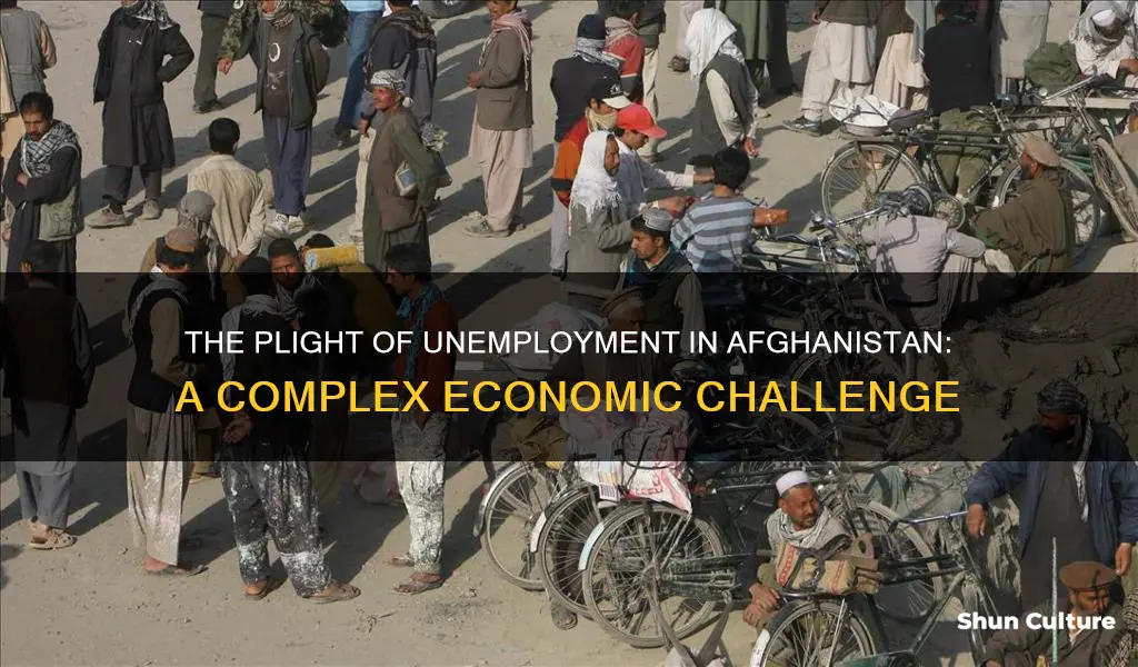 does afghanistan have unemployment