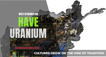 The Uranium Mystery in Afghanistan: A Geopolitical Conundrum