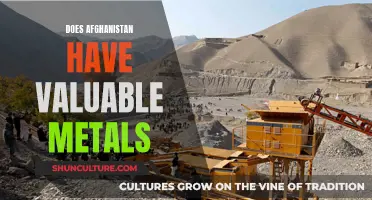 The Hidden Wealth Beneath Afghanistan's Soil: A Metal Treasure Trove