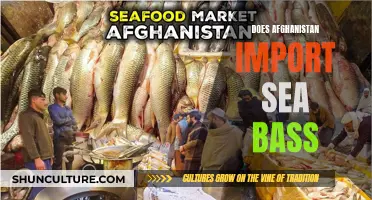 The Sea Bass Conundrum: Unraveling Afghanistan's Unique Import Choice