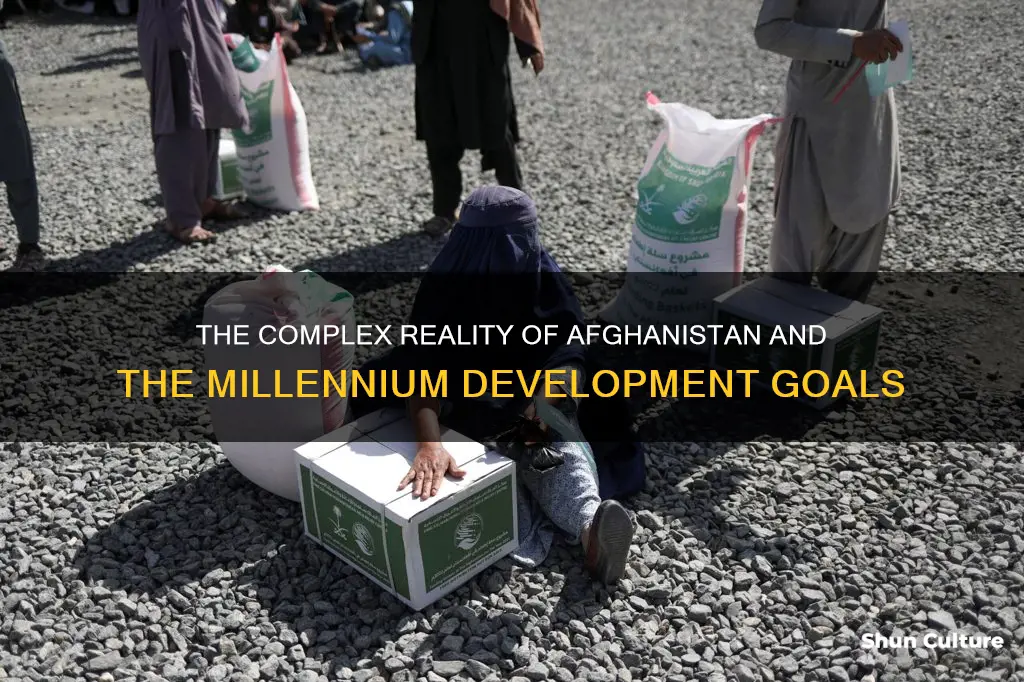 does afghanistan meet the millenium development goals