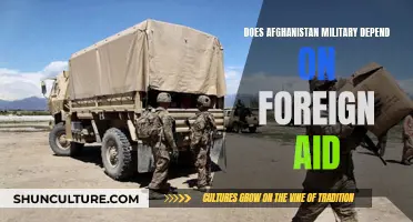 The Afghan Military: Foreign Aid or Independence?