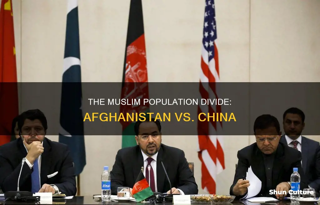 does afghanistan or china have more muslims