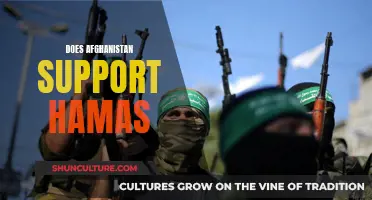 The Complex Relationship Between Afghanistan and Hamas: Allies or Convenient Partners?