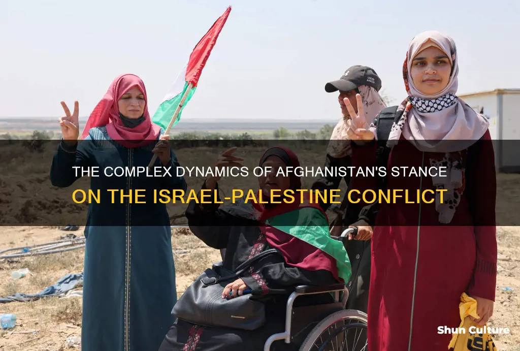 does afghanistan support israel or palestine