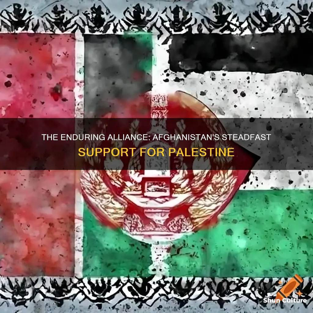 does afghanistan support palestine