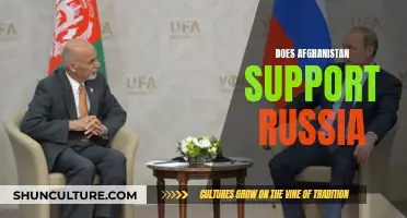 The Complex Dynamics of Afghanistan-Russia Relations