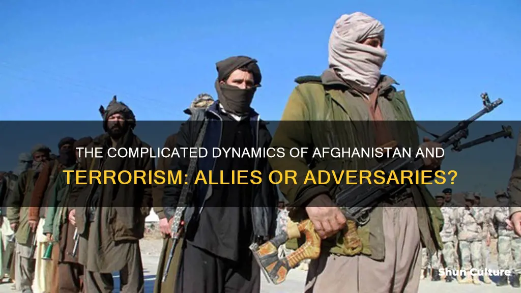 does afghanistan support terrorism