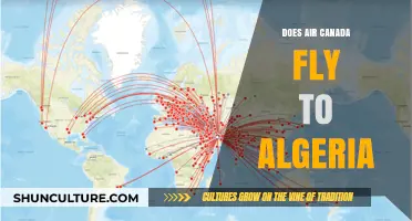 Does Air Canada Fly to Algeria? Exploring Route Options and Alternatives