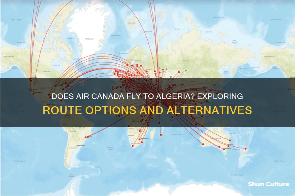 does air canada fly to algeria