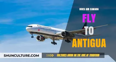 Does Air Canada Fly to Antigua? Your Travel Guide