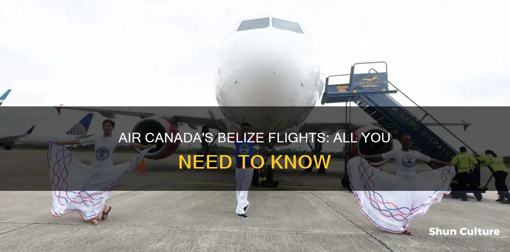 does air canada fly to belize