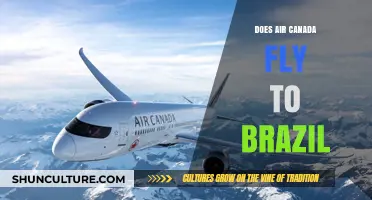 Does Air Canada Fly to Brazil? Routes and Destinations Explained