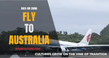 Air China's Australian Ambitions: Destinations and Future Plans