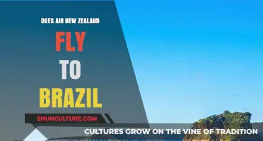 Does Air New Zealand Fly to Brazil? Routes and Destinations Explained