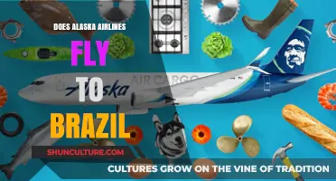 Does Alaska Airlines Offer Flights to Brazil? Exploring Route Options
