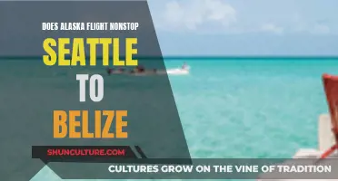 Nonstop Seattle to Belize: Alaska Airlines' New Route